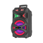 Caixa Amplificada ACA 255 HIT